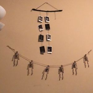 Meet your Posher, Daisy